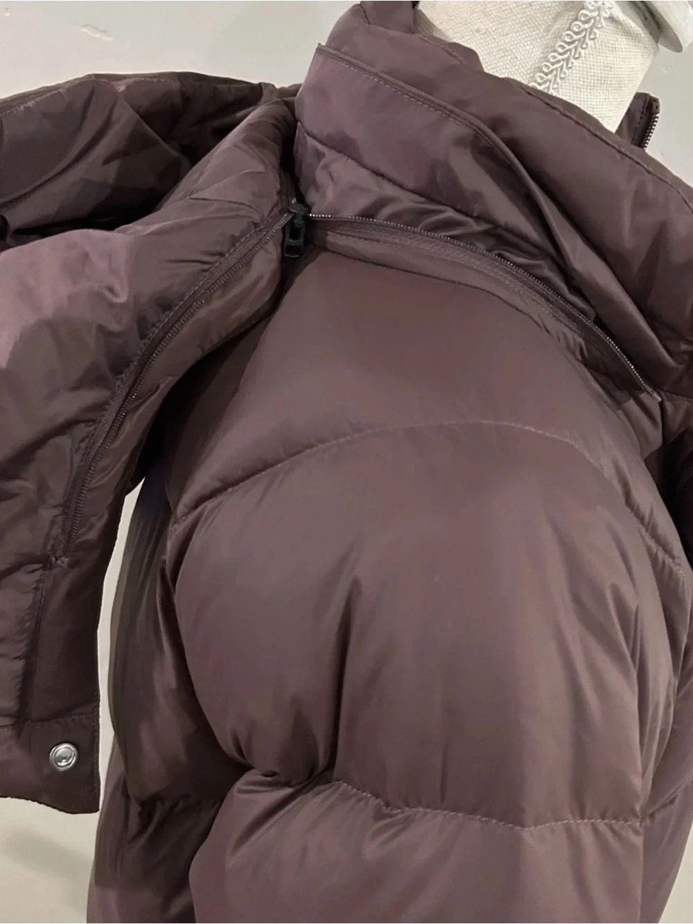 The North Face north face